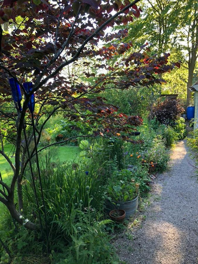Beemster Tiny House Bed & Breakfast Zuidoostbeemster Dış mekan fotoğraf